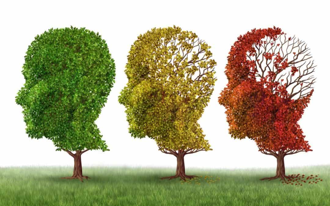 Prévenir et retarder l’Alzheimer ? C’est possible.